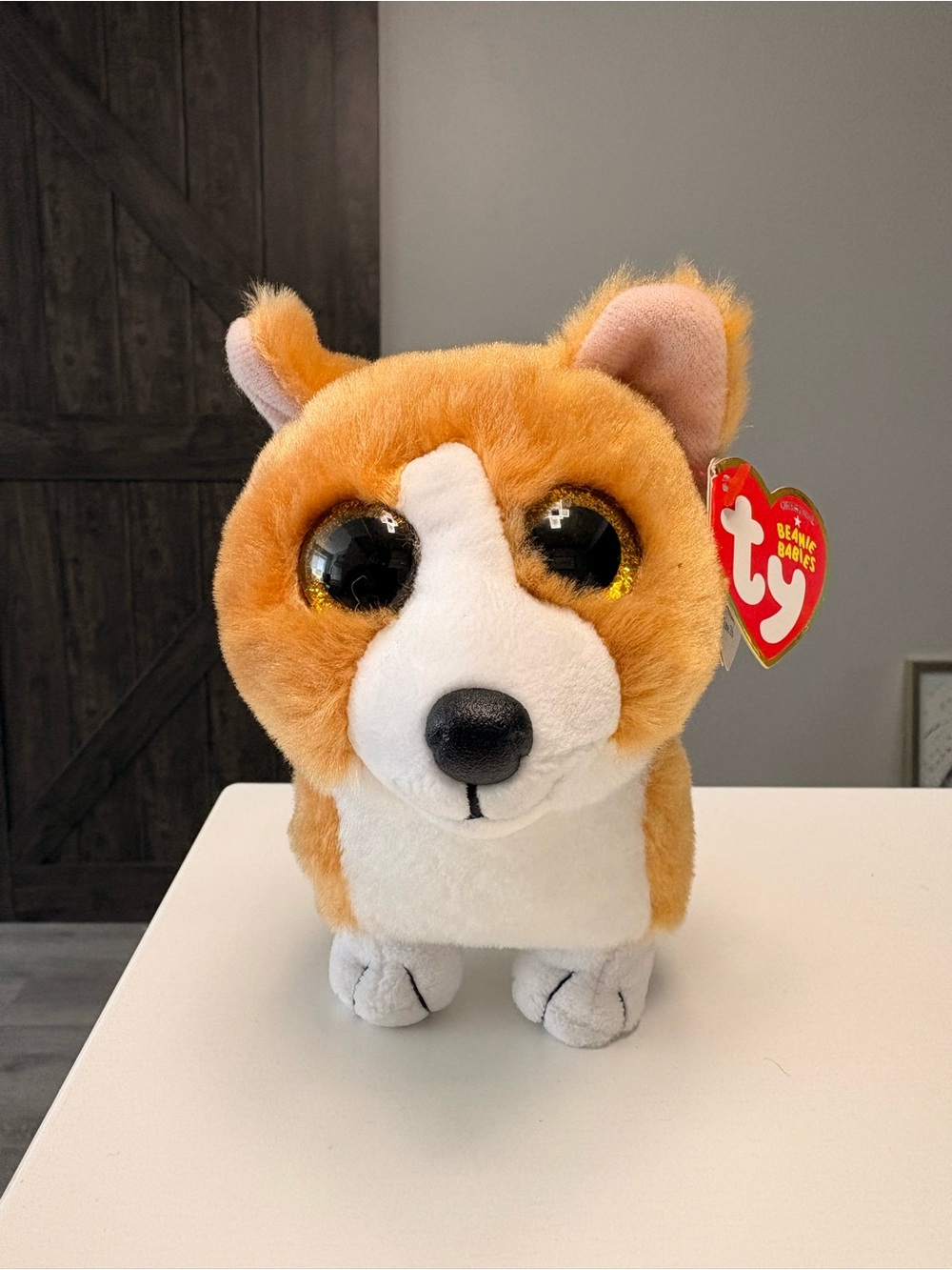 Ty Beanie Baby Boos - COLIN the 6" Pembroke Welsh Corgi Dog Plush 2021